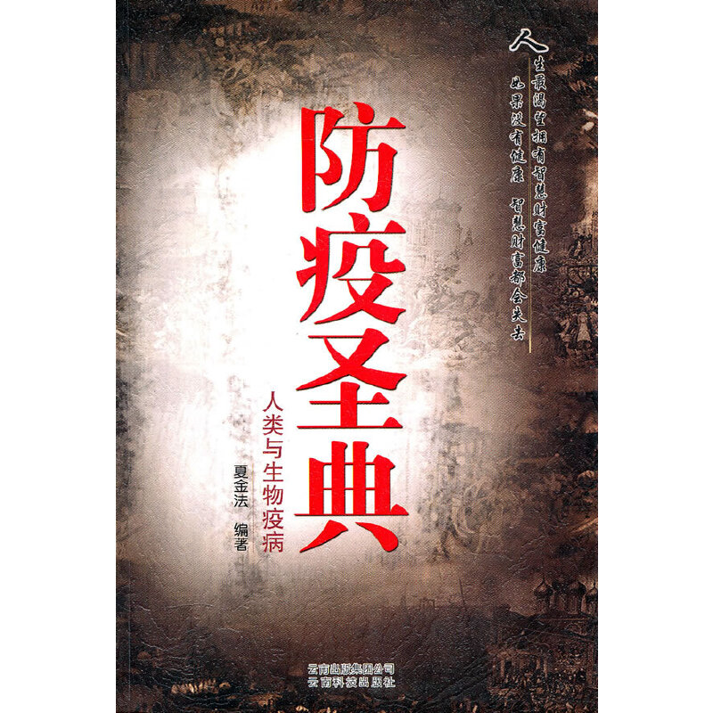 ����ʥ�䡪������c�����߲�