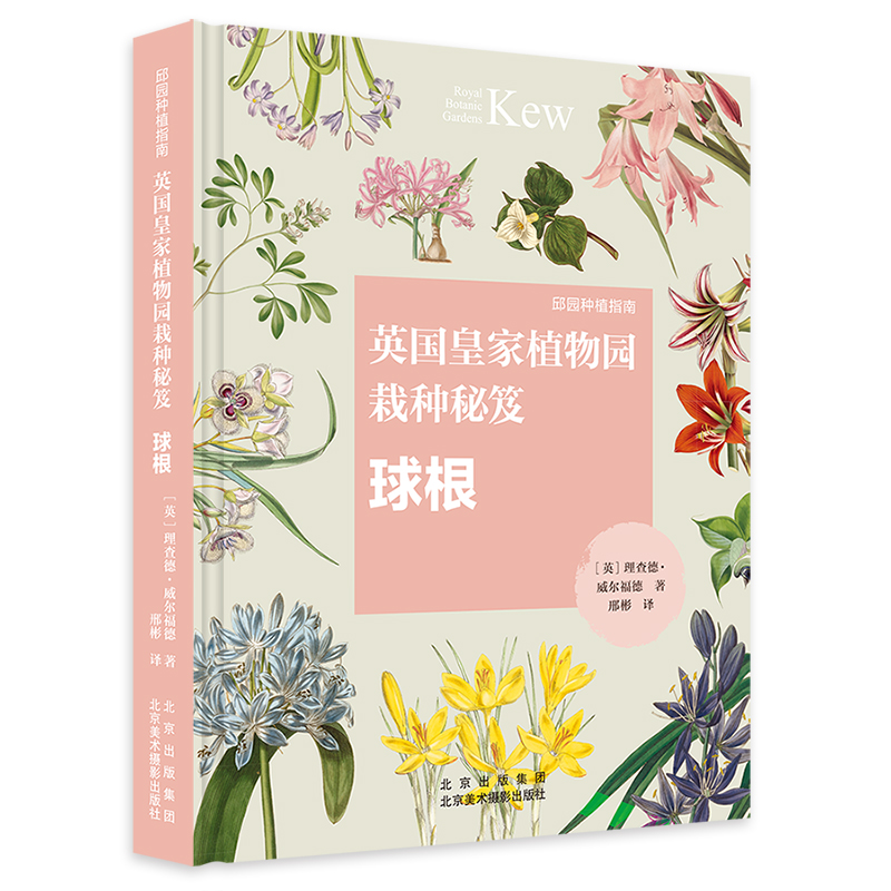 Ӣ���ʼ�ֲ��@�ԷN���ţ����