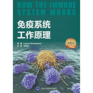 ����ϵ�y(t��ng)����ԭ��