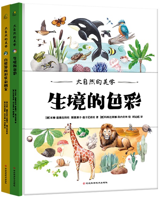 ����Ȼ�����W�����bȫ2�ԣ��Ĵ���Ȼ�_ʼ��ˇ�g��������ֲ��ٿƈD�b���^���L��