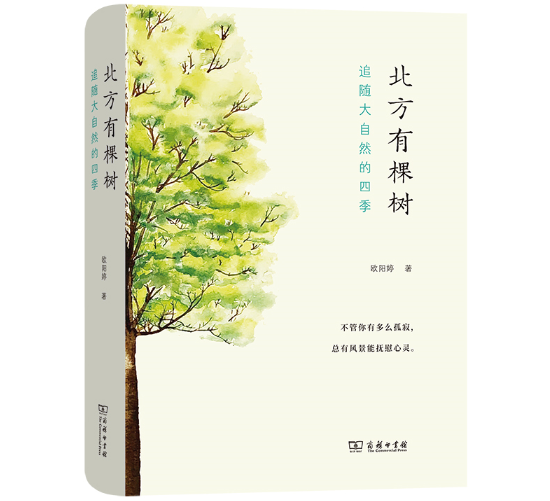 �����пØ䣺׷�S����Ȼ���ļ�