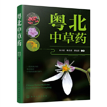 �����в�ˎ