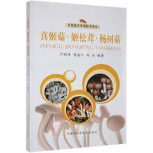 �漧���������ס���乽