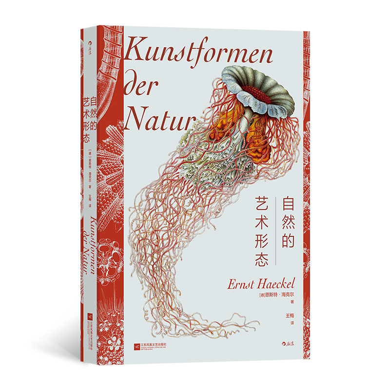 ��Ȼ��ˇ�g(sh��)�ΑB(t��i)