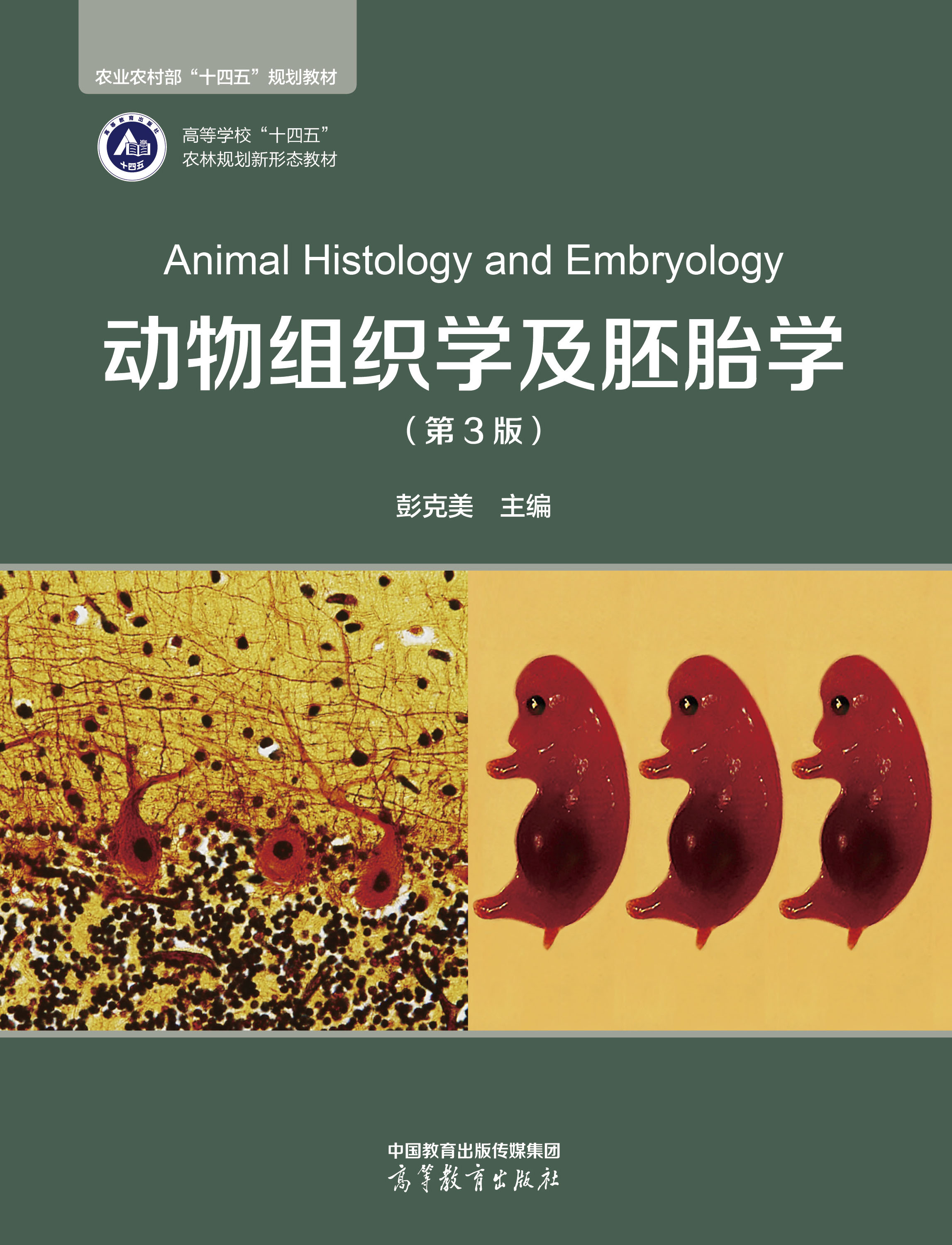 ��(d��ng)��M���W(xu��)����̥�W(xu��)����3�棩