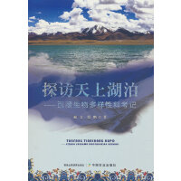 ̽�L���Ϻ���