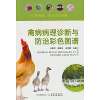 �ݲ������\���c���β�ɫ�D�V