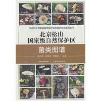 ������ɽ���Ҽ���Ȼ���o(h��)�^(q��)��D�V