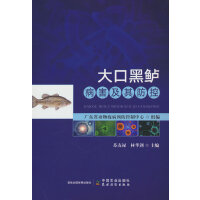 ��ں��|�����������