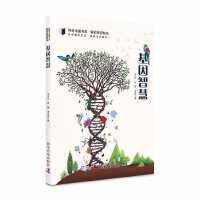 �����ǻ�