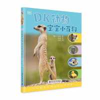 DK�����С�ٿ�