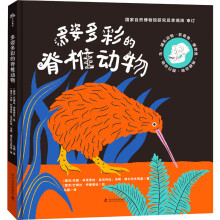 ���˶�ʵļ�׵����