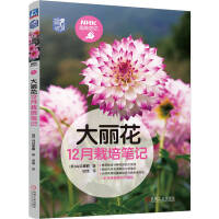 ������12������Pӛ