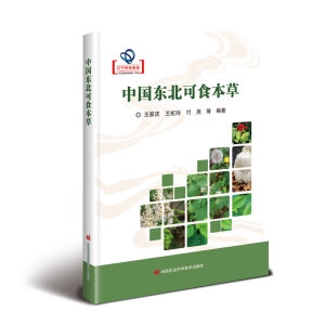 �Ї��|����ʳ����