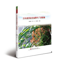 ��ɽ����ҹ��@Ұ���m��ֲ��