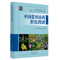 �Ї�(gu��)������ˎ��ɫ�D�V