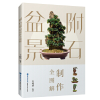 ��ʯ�辰����ȫ�D��