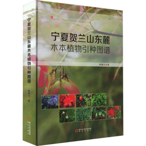 �����R�mɽ�|´ľ��ֲ�����N�D�V