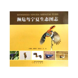 �lΣ�B�������B(t��i)�D־