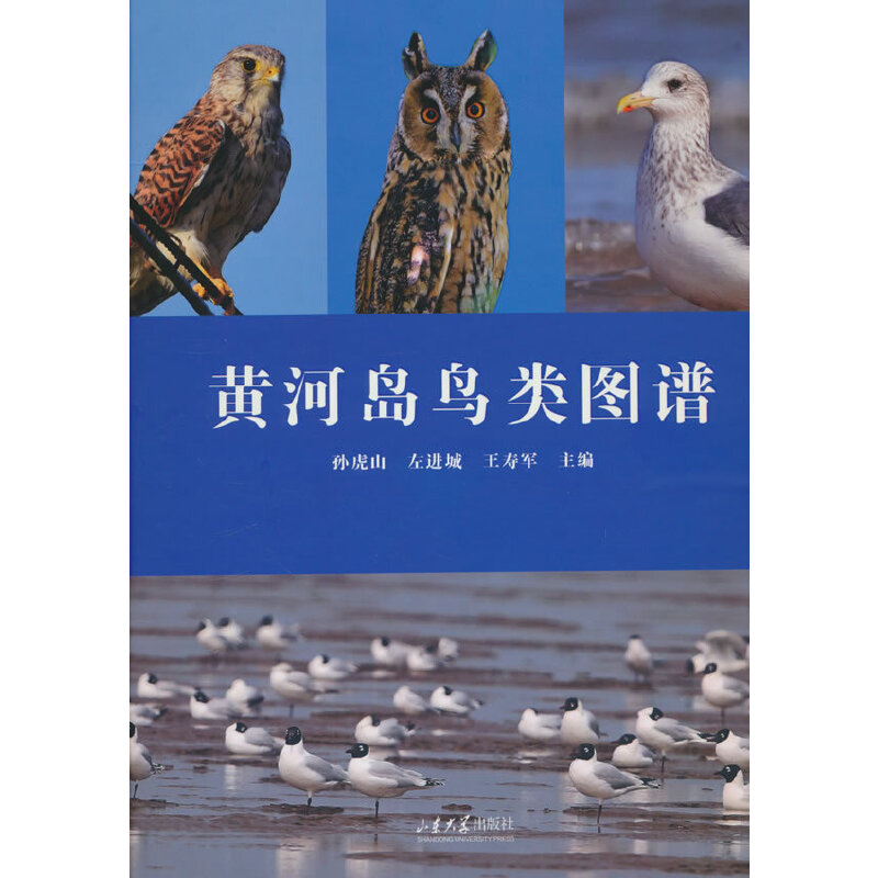 �S�Ӎu�BD�V