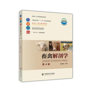 ���ݽ��ʌW(xu��)