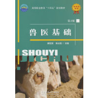 �F�t(y��)���A