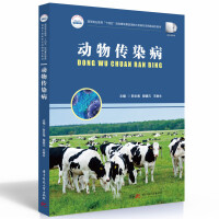 �����Ⱦ��