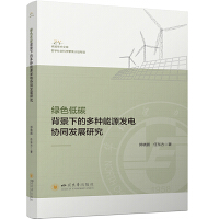 �Gɫ��̼�����µĶ�N��Դ�l(f��)늅f(xi��)ͬ�l(f��)չ�о�