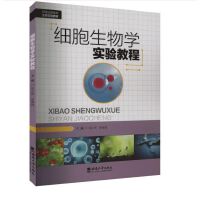 ��������W(xu��)���̳�