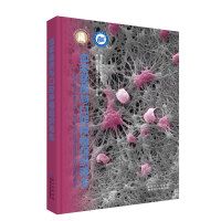 Ѫ�{���|(zh��)�c��ǻ�Nֲ�M������