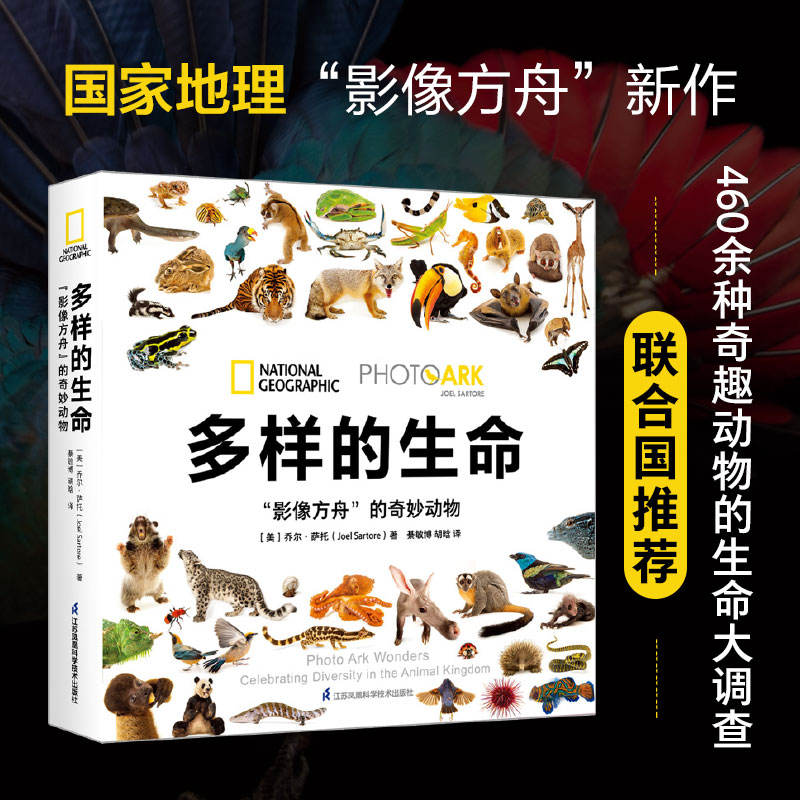 ���ӵ���������Ӱ���ۡ�������������