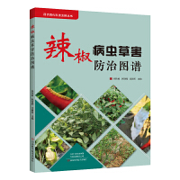 �������x�ݺ����ΈD�V