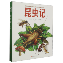  ���xӛ �����ꃺͯ�ČW(xu��)�x�� (��С�W(xu��)���n����xָ��(d��o)����) �o�ϵK��x �ʲ屾 �ك�6-8-9-12�q�������꼉�옷�x����