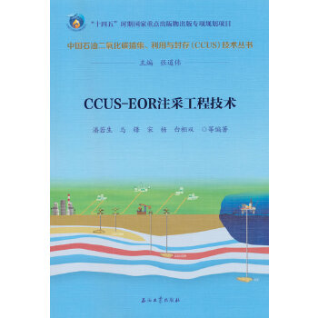  CCUS-EORע�ɹ��̼��g(sh��)