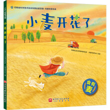 С���_����