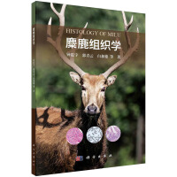 ��¹�M���W