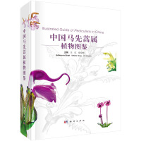 �Ї��R�����ֲ��D�b