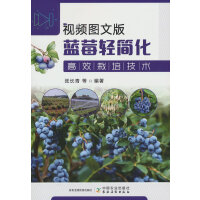 ҕ�l�D�İ��{(l��n)ݮ�p��(ji��n)����Ч���༼�g(sh��)