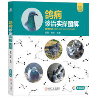 �����\�Ό��وD��