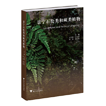  ����ʯ���(l��i)��ާ�(l��i)ֲ��