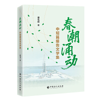 ����ӿ��