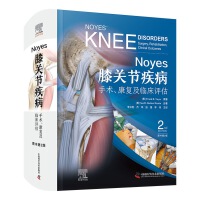 Noyesϥ�P(gu��n)��(ji��)���������g(sh��)������(f��)���R���u(p��ng)����ԭ����2�棩