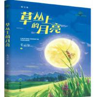 �݅��ϵ�����