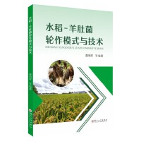 ˮ��-��Ǿ�݆��ģʽ�c���g