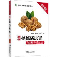 �D�f���Ҳ��x���\���c����