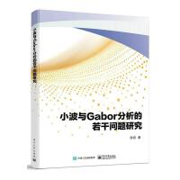 С���cGabor���������Ɇ�(w��n)�}�о�