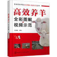 ���ݸ�Ч�B(y��ng)ֳȫ�ʈD�⣫ҕ�lʾ������--��Ч�B(y��ng)��ȫ�ʈD��+ҕ�lʾ��