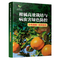 �l(xi��ng)�����d֮�Ƽ��d�r(n��ng)ϵ��--���ٸ�Ч�����c���x���Gɫ���أ���ɫ�D��+ҕ�lָ����