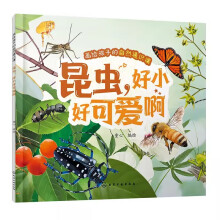 ���o���ӵ���Ȼͨ�R�n--���x����С�ÿɐ۰�