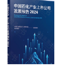 �Ї�ʯ���a(ch��n)�I(y��)���й�˾�l(f��)չ��棨2024��